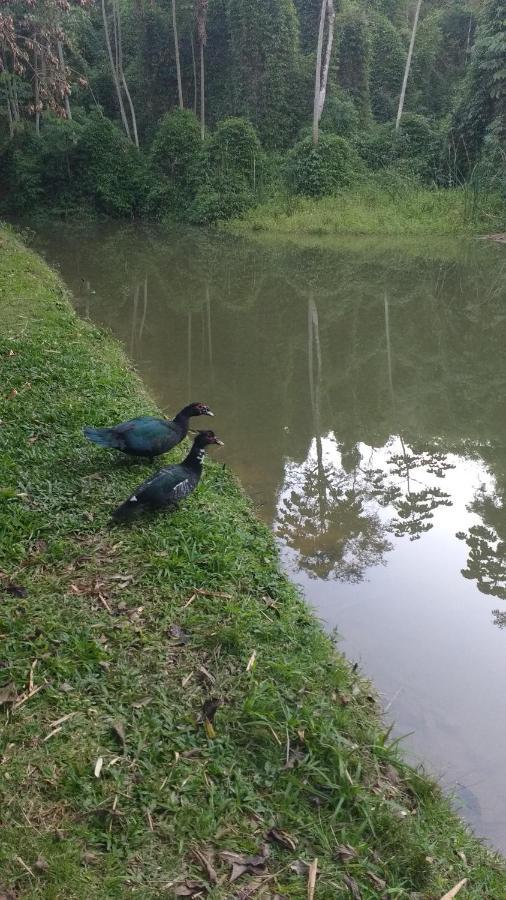 Casa De Campo Rosa Dos Ventos Rodeio 外观 照片